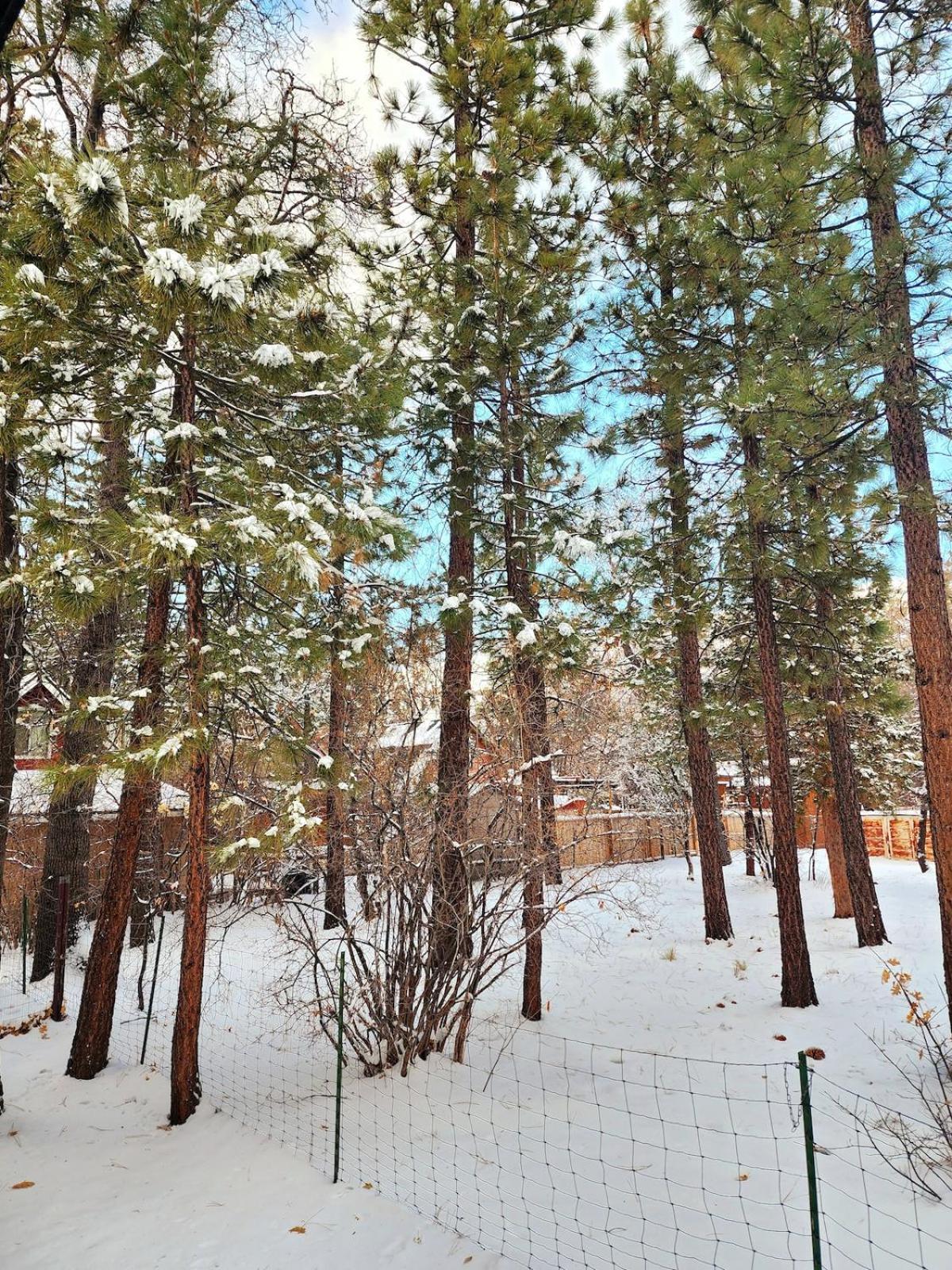 Bear Escapes II Affordable Luxury Cabin Sugarloaf المظهر الخارجي الصورة